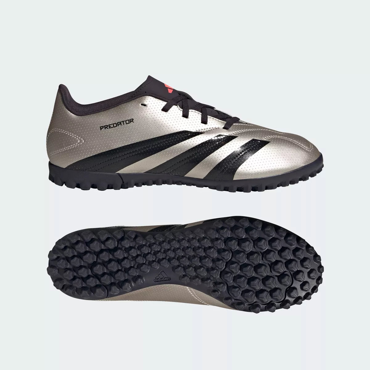 PREDATOR CLUB TF