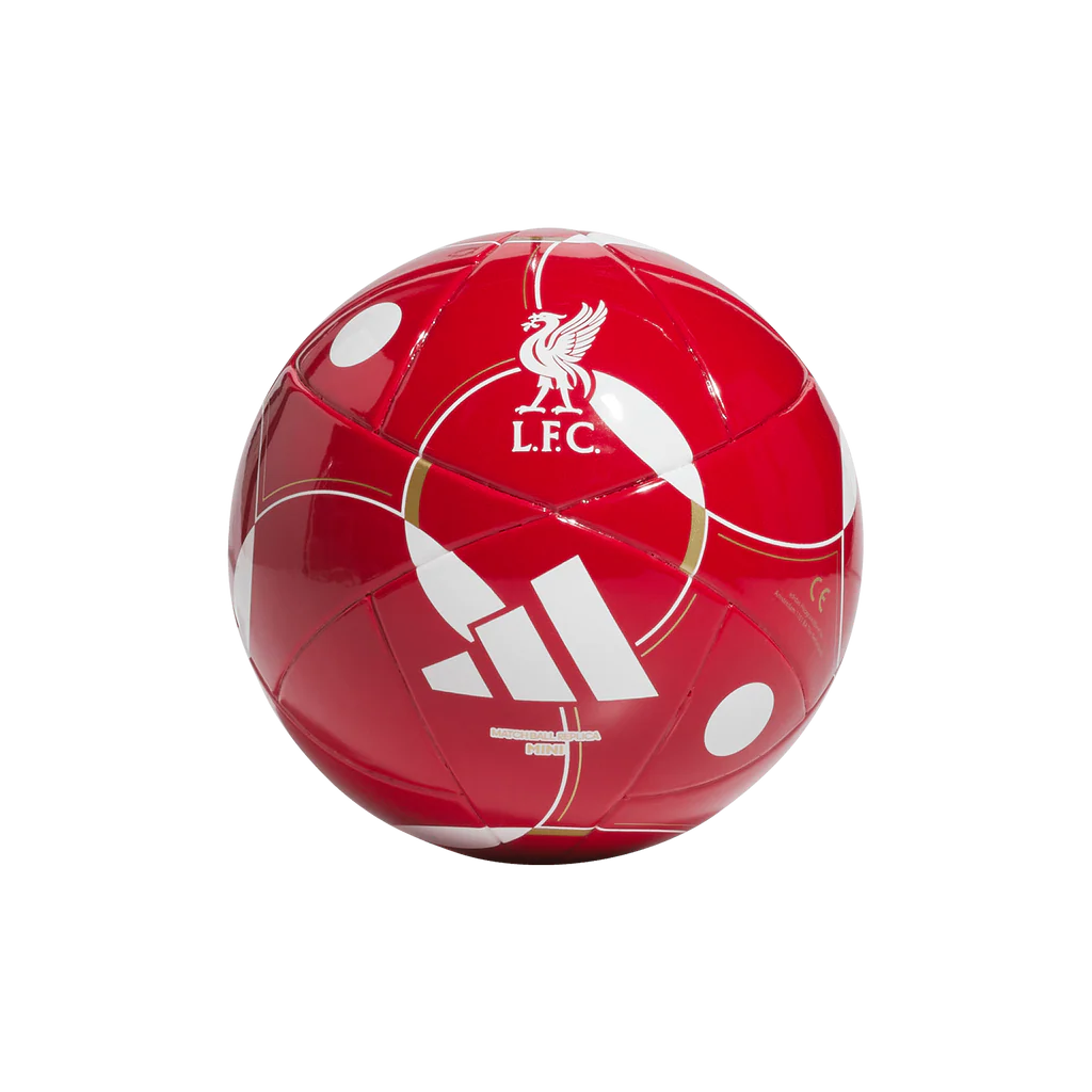 LFC MINI HOME כדורגל מיני ליברפול