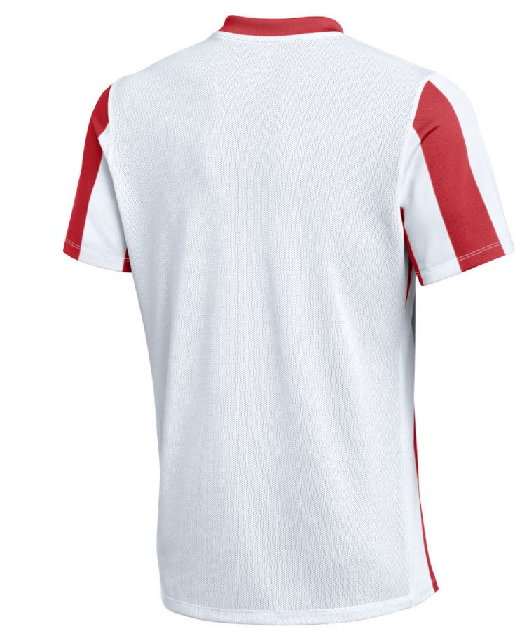 Dri-FIT Striped Division V Jersey | חולצת אימון