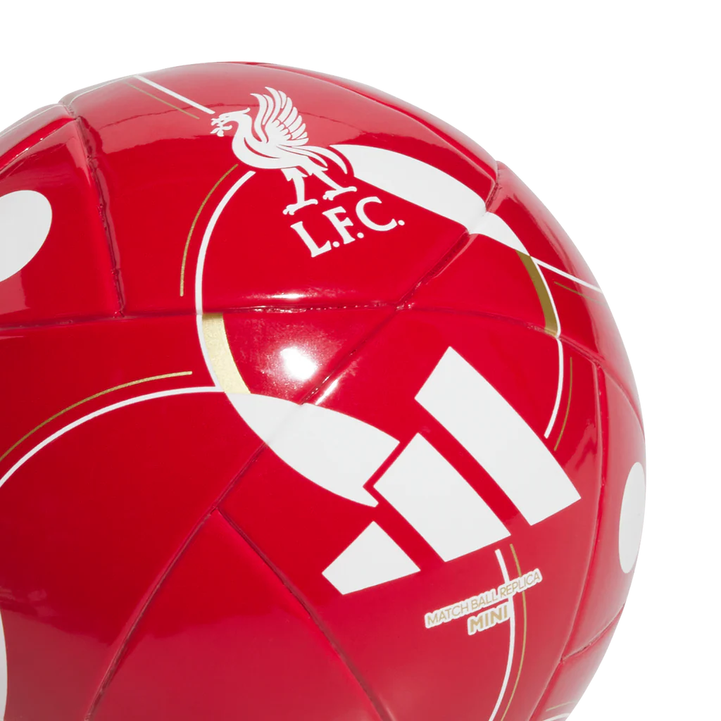 LFC MINI HOME כדורגל מיני ליברפול
